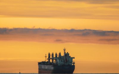 Supporting Sustainable Agriculture: Novo Fuel Trading’s Agricultural Commodities Division Grows